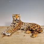 Luipaard - Ronzan - Italië - 20e eeuw, Antiek en Kunst