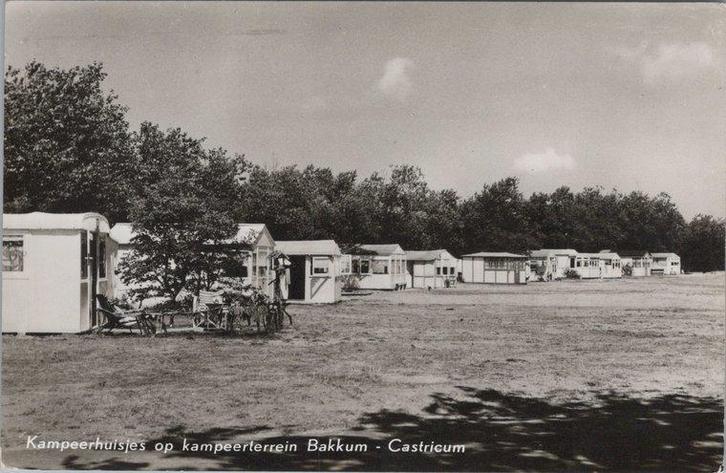 BAKKUM - Kampeerhuisjes op kampeerterrein Bakkum - Castricum, Verzamelen, Ansichtkaarten | Nederland, Verzenden