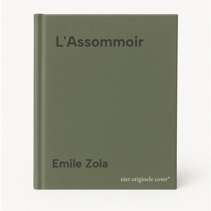 LAssommoir 9782877141277 Emile Zola, Boeken, Taal | Engels, Gelezen, Verzenden