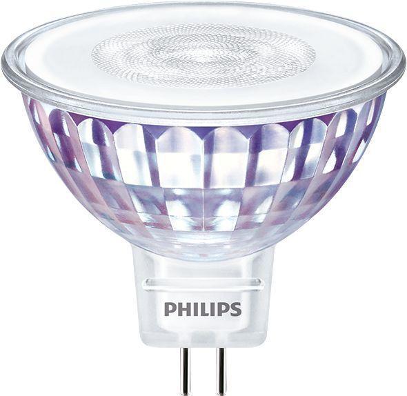 Philips LED-lamp - 30736000, Tuin en Terras, Buitenverlichting, Overige typen, Nieuw, Verzenden