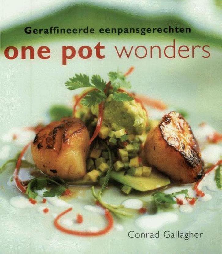ONE POT WONDERS 9789055017911 C. Gallagher, Boeken, Kookboeken, Gelezen, Verzenden