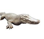 Beeld, Realistic Silver Crocodile 52cm - 0 cm - Hars