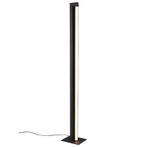 Zwarte vloerlamp modern, Raihana, 21W, white switch LED, met, Huis en Inrichting, Lampen | Vloerlampen, Nieuw, Ophalen of Verzenden