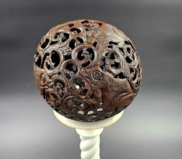 Scrimshaw kokosnoot op standaard Taxidermie volledige, Antiek en Kunst, Curiosa en Brocante