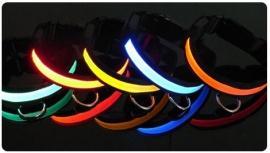 Honden halsband LED verlichting S/M/L/XL *7 kleuren*, Dieren en Toebehoren, Honden-accessoires, Nieuw, Verzenden