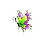 Plak tattoos glitter vlinder groen/paars - Tatoeages, Ophalen of Verzenden, Nieuw