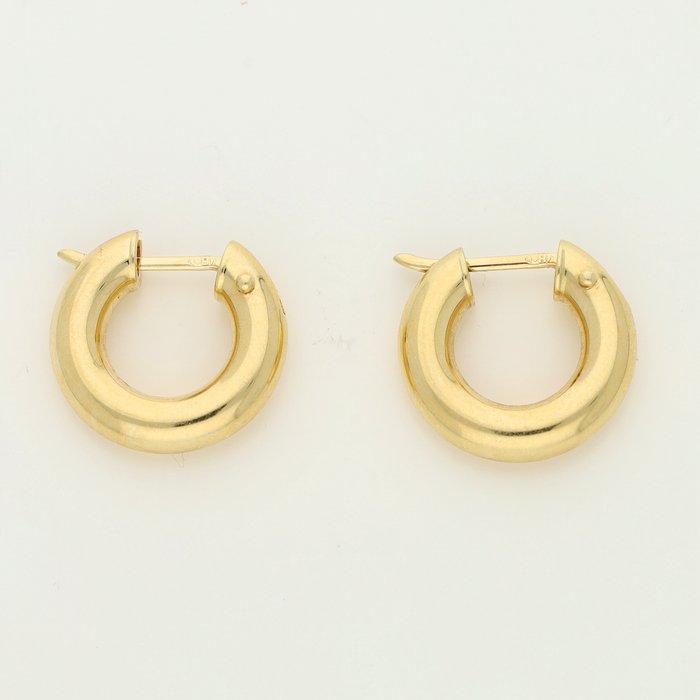 Oorbellen - 14 karaat Geel goud, Sieraden, Tassen en Uiterlijk, Oorbellen