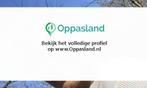 Ik ben Arielli en ik zoek oppaswerk in Kockengen.