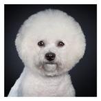 Ralph Hargarten - Emma