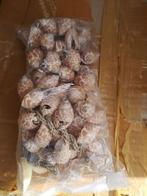 Schelpenhanger Klonong Macan, Ophalen of Verzenden, Nieuw