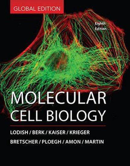 Molecular Cell Biology | 9781464187445, Boeken, Studieboeken en Cursussen, Verzenden