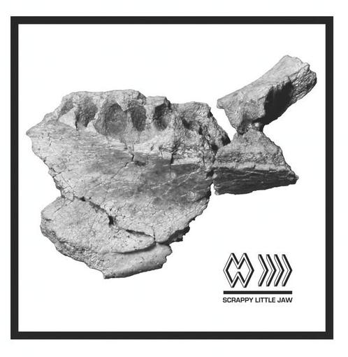 LP gebruikt - The Band Whose Name Is A Symbol - Scrappy L..., Cd's en Dvd's, Vinyl | Pop, Zo goed als nieuw, Verzenden