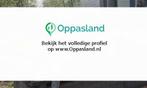 Sylvia zoekt een oppas in Vlaardingen.