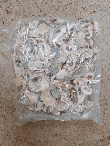Oesterschelpen 1 kilo stukjes oesterschelp