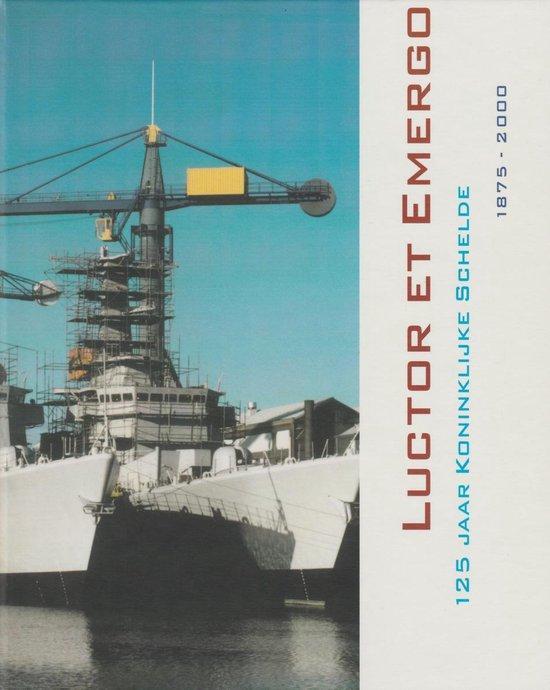 Luctor et Emergo 9789074640282 J. Verhoog, Boeken, Overige Boeken, Gelezen, Verzenden
