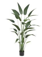 Kunstplant Heliconia | 180cm, Ophalen, Nieuw