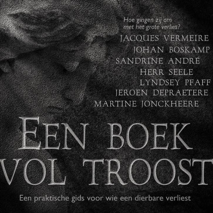 Een boek vol troost 9789079592326 Hans Luyten, Boeken, Politiek en Maatschappij, Gelezen, Verzenden