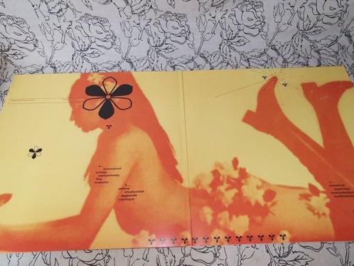 The Jesus And Mary Chain - Munki - Limited edition - 2 x LP, Cd's en Dvd's, Vinyl Singles