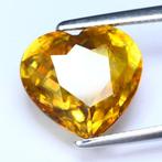 Geel Titaniet - 9.73 ct - International Gemological, Nieuw
