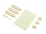 Fender Stratocaster accessoires kit aged white, Muziek en Instrumenten, Verzenden, Nieuw