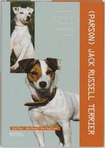 Jack Russel Terrier, Nieuw, Verzenden