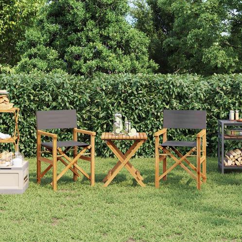 vidaXL Regisseursstoelen inklapbaar 2 st massief teakhout, Tuin en Terras, Tuinstoelen, Nieuw, Teakhout, Verzenden