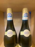 2022 Emidio Pepe Trebbiano d’Abruzzo - Abruzzo - 2 Flessen, Verzamelen, Nieuw