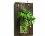 Hangende muurvaas - Stekvaasje op plank - Plantenhanger H..., Huis en Inrichting, Woonaccessoires | Vazen, Nieuw, Verzenden