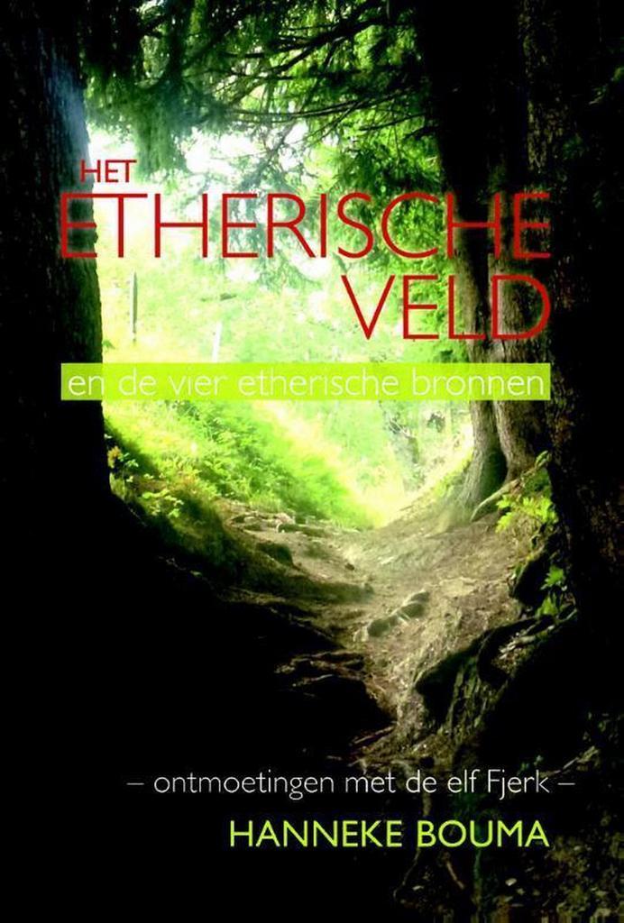 Het etherische veld en de vier etherische bronnen van, Boeken, Esoterie en Spiritualiteit, Gelezen, Verzenden
