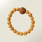 Rudraksa armband elastisch met 20 kraaltjes en 1 grote kraal, Ophalen of Verzenden, Nieuw