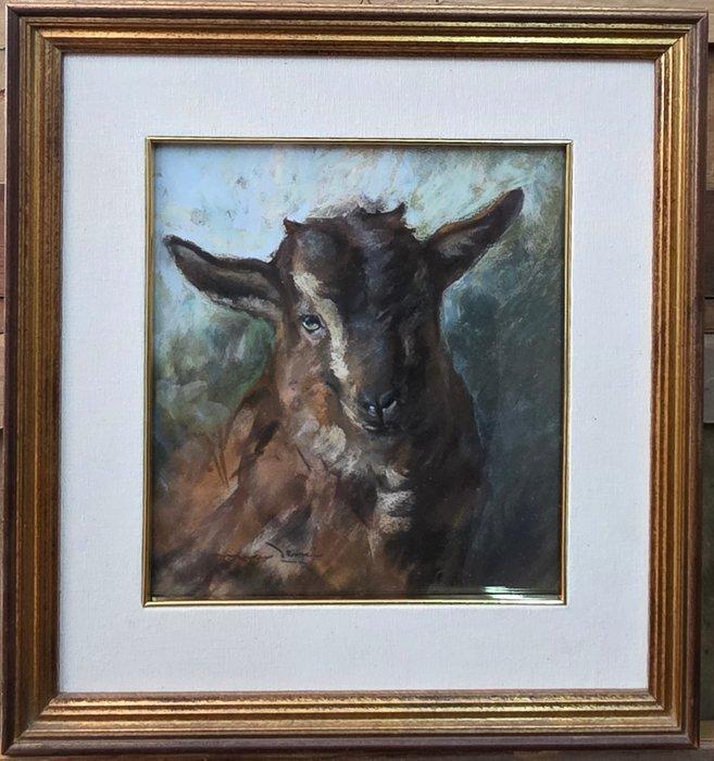 Marino Lenci (1874-1939) - Studio di capra - NO RESERVE, Antiek en Kunst, Kunst | Schilderijen | Klassiek