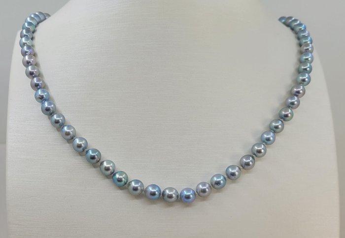 Halsketting Zilver, 6x6,5mm zilveren Akoya parels, Sieraden, Tassen en Uiterlijk, Kettingen