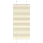 vidaXL Plissé rolgordijn 60x100 cm stofbreedte 59,4 cm, Huis en Inrichting, Stoffering | Gordijnen en Lamellen, Verzenden, Nieuw