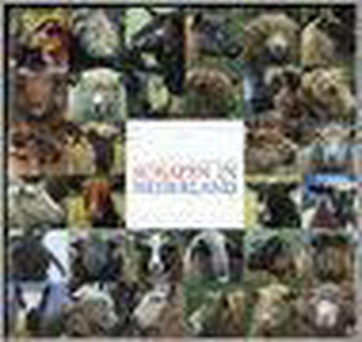 Schapen in Nederland 9789054390978 J. Engelen, Boeken, Hobby en Vrije tijd, Zo goed als nieuw, Verzenden