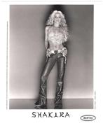 Firooz Zahedi (1949–) - Shakira, 2001, Antiek en Kunst