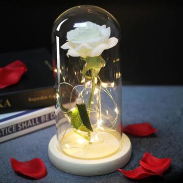 Kunst Roos in Glazen Stolp met Verlichting - Zijden Rozen beschikbaar voor biedingen