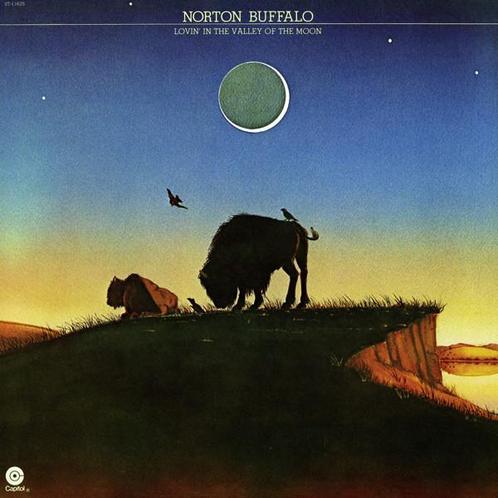 LP gebruikt - Norton Buffalo - Lovin In The Valley Of Th..., Cd's en Dvd's, Vinyl | Country en Western, Zo goed als nieuw, Verzenden