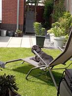 Te huur: Huis Koningsspil in Nunspeet, Huizen en Kamers, Nunspeet, Gelderland