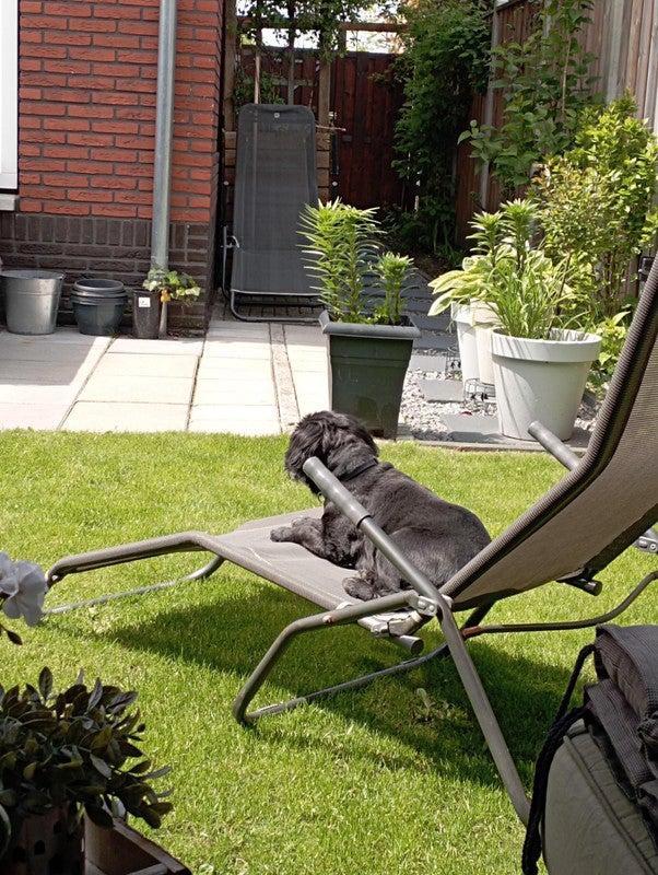 Te huur: Huis Koningsspil in Nunspeet, Huizen en Kamers, Huizen te huur, Gelderland