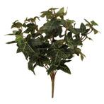 Hedera bundel 40cm premium english ivy bush green groen, Nieuw, Ophalen of Verzenden