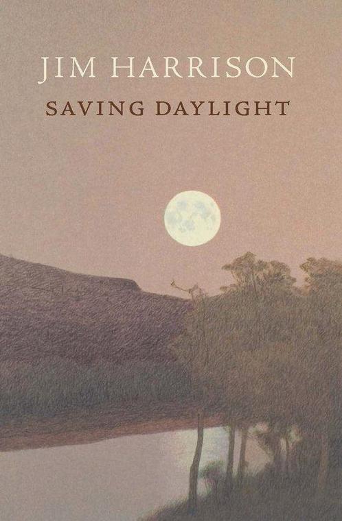 Saving Daylight, Boeken, Overige Boeken, Ophalen of Verzenden
