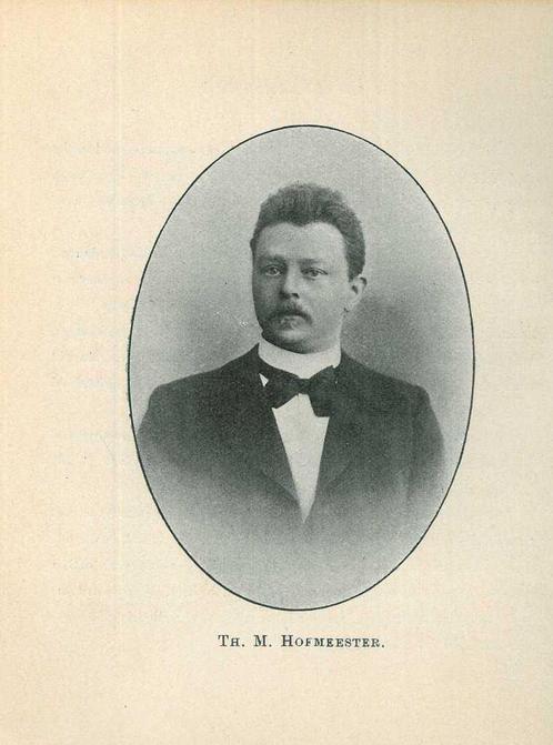 Portrait of Theodorus Marinus Hofmeester, Antiek en Kunst, Kunst | Etsen en Gravures