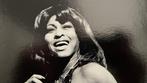 Govert de Roos - Tina Turner, Antiek en Kunst
