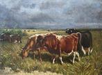 JHL de Haas (1832-1908) - Koeien in de weide, Antiek en Kunst, Kunst | Schilderijen | Klassiek