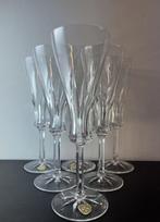 Villeroy & Boch - Champagneglas (6) - Kristal - Nieuw, nooit