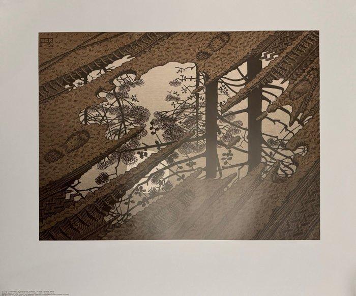 M.C. Escher (1898-1972), after - Modderplas, Antiek en Kunst, Antiek | Overige Antiek