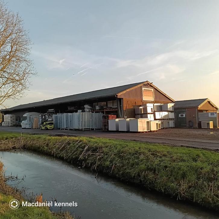 Kennelpanelen, kennels, grootste voorraad en snel geleverd!, Dieren en Toebehoren, Hondenhokken, 100 cm of meer, 110 cm of meer