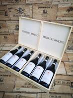 2015 Terre del Barolo Vinum Vita Est DOCG - Barolo Riserva, Verzamelen, Wijnen, Nieuw