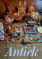 Leven met antiek 9789025709761 Roy Zuydewyn, Boeken, Verzenden, Gelezen, Roy Zuydewyn