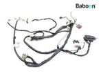 Kabelboom Aprilia ETV 1000 Caponord 2001-2003 (ETV1000), Motoren, Verzenden, Gebruikt